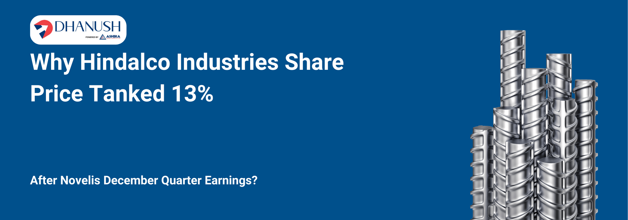 Why Hindalco Industries Share Price Tanked 13% After Novelis December Quarter Earnings? - MyDhanush Blogs by Ashika
